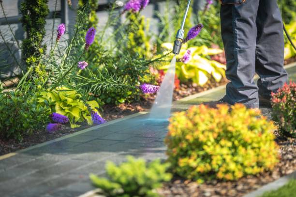 Best Winterizing Services  in Mazon, IL