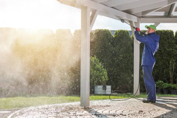 Best Restaurant Pressure Washing  in Mazon, IL