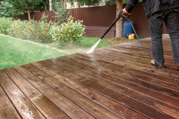 Best Pre-Holiday Cleaning  in Mazon, IL