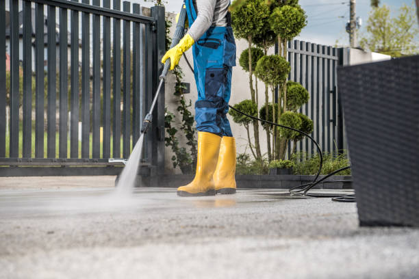 Best Playground Equipment Cleaning  in Mazon, IL